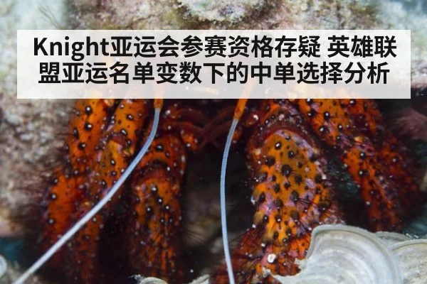 Knight亚运会参赛资格存疑 英雄联盟亚运名单变数下的中单选择分析